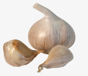 Garlic Png Transparent Image - Garlic Transparent #769349