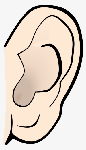 Ear Clip Pair - Ear Clipart - Free Transparent PNG Download - PNGkey