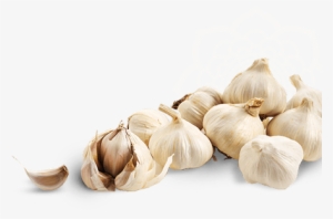 Garlic Png Clipart - Garlics Png #769479