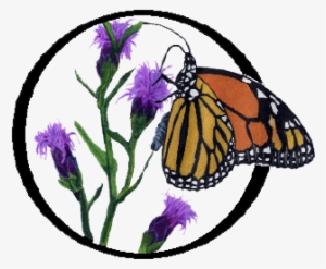 Growwildlogo - Flower #769554 Growwildlogo - Flower #769554