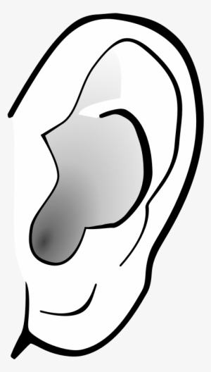 Ear Clip Art Free - Ear Clipart Transparent Background #769603
