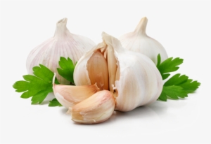 Garlic Extract - Garlic Herbal #769972