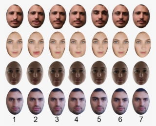 Identity Altering Face Prosthesis - Team #7600273
