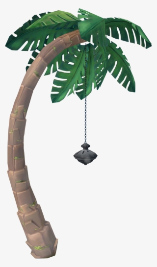 Attalea Speciosa #7600613