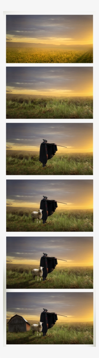 Shepherd #7601887