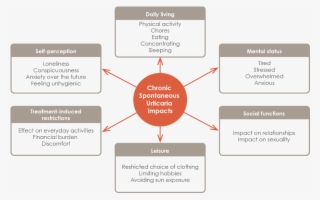 Chronic Spontaneous Urticaria Impacts On Quality Of - Effects Of Cortisol #7603042