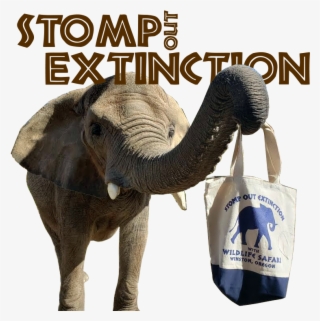Help Us Stomp Out Extinction - Indian Elephant #7604621