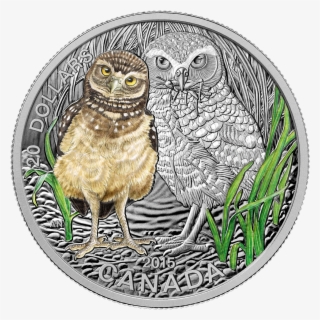 Canada 2015 Baby Animals Burrowing Owl Proof Silver - Animals Coins #7604754