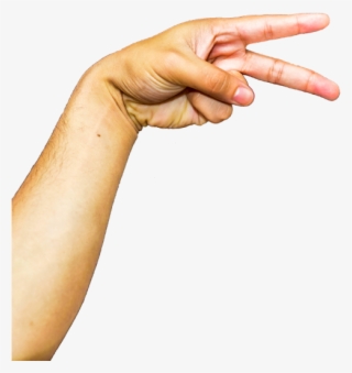 Hands,fingers,arm,png - Braço Png #7605191 Hands,fingers,arm,png - Braço Png #7605191