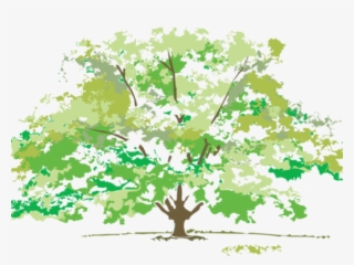 Clip Art Four Four Seasons Images Free #7605229