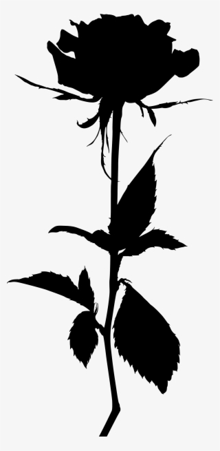 Flower Silhouette - White Roses In Png #7605480 Flower Silhouette - White Roses In Png #7605480