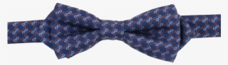 Paisley #7606175