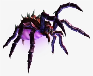 Spider Png Picture - Macro Photography #7606335