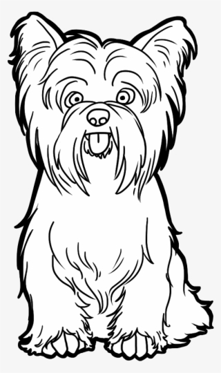 Dog Png Clipart - Yorkshire Terrier Drawing Easy #7606877