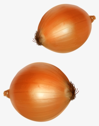 1075 X 1280 5 - Yellow Onion #7606921
