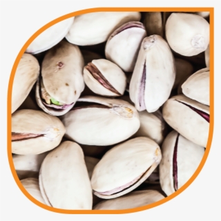 Natural Organic - Fruit #7608155