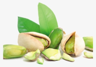 Pistachio Png Transparent Images - Pistachio #7608190