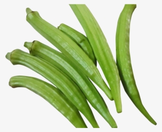 Fresh Okra Png Image - Okra Png #7608904