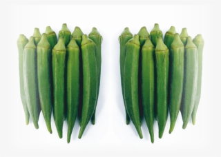 Okra-f1 - Okra #7609109
