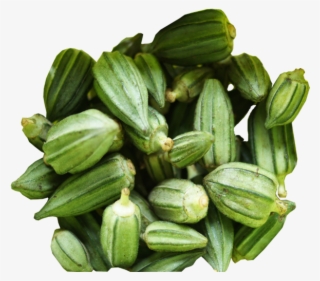 Https - //foodstuffnigeria - Com/product/fresh-okra/ - Okro #7609298