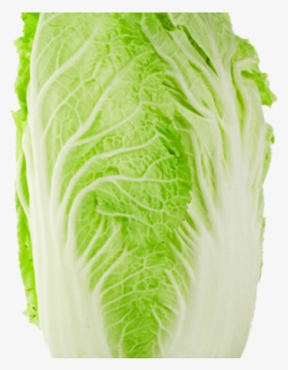 Chinese Cabbage #7610174