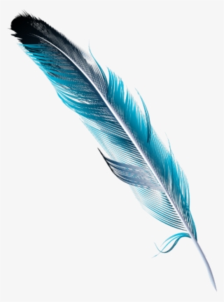 Feather Watercolor #7610401