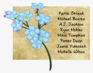 Forget Me Not Day Photo #7610410