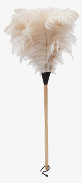 The Classic Clean - Cut Flowers #7610411