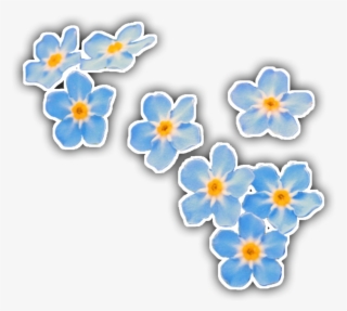 Forgetmenot Sticker #7611523