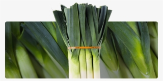 Whole Leeks - Leek #7611563