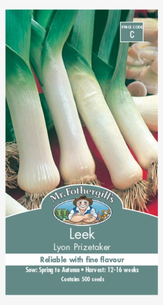 Mr Fothergill's Leek Lyon Prizetaker Seeds - Leek Musselburgh #7611936