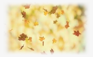 Floral Design #7611974 Floral Design #7611974