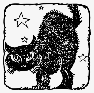 Cat Black Stars - Cat #7613705