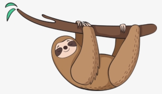 Three-toed Sloth #7614568