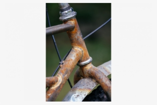 [show Thumbnails] - Road Bicycle #7615055