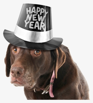 The Holidays Are Winding Down And The New Year Is Just - New Year Baby #7617435