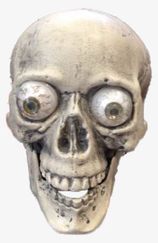 Objectplastic Halloween Skull - Skull #7617472