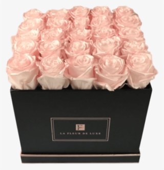 Garden Roses #7617640