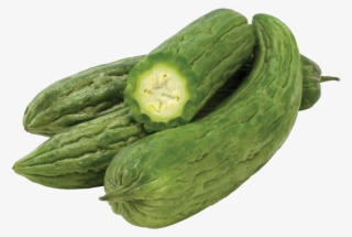 Bittermelon Png #7617645