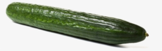 Category - Spreewald Gherkins #7617988