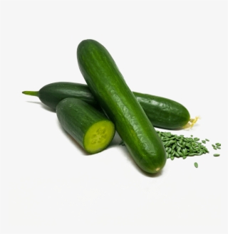 Don Emilio - Cucumber #7618093