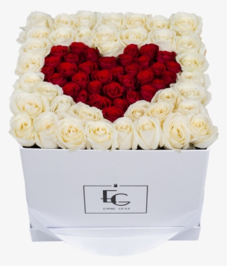 Garden Roses #7618212