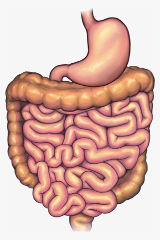 Before Surgery - Illustration #7619950
