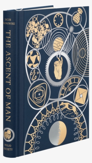 Star Trails Over Arches National Park, Utah, Usa - Illustration #7620126