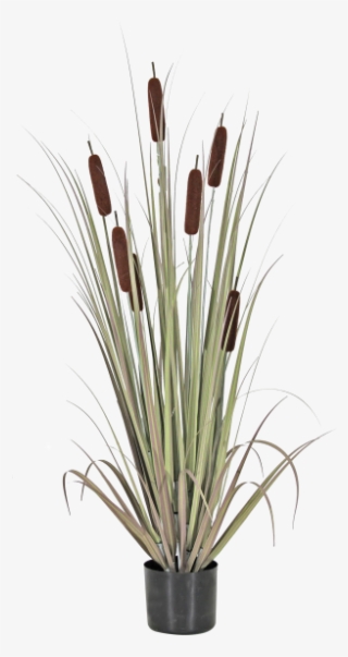 Vase #7620941