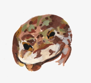 Frogs6 - Palette #7622160