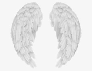 Angels In America Wings - Baby Angel Wings Png #7622503