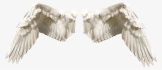 What Are The Different Types Of Angels In The Bible - Wings In Different Types #7623016