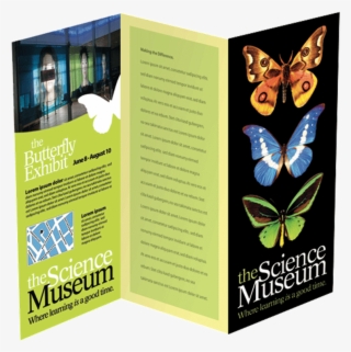 Brochures - Lycaenid #7623260