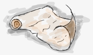 Pergaminho - Illustration #7623404